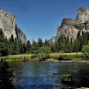 Meet your Posher, Tommy